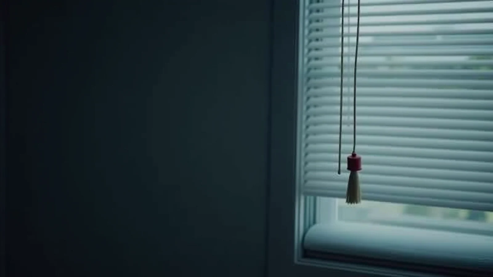 A thin window-blind cord ending in a small tassel, hanging still beside a closed blind in a dark room.